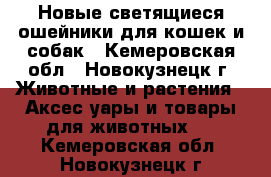 Новые светящиеся ошейники для кошек и собак - Кемеровская обл., Новокузнецк г. Животные и растения » Аксесcуары и товары для животных   . Кемеровская обл.,Новокузнецк г.